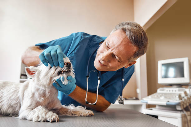 Best Emergency Broken Tooth Repair in Moore Haven, FL